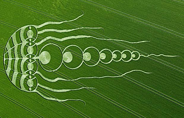 Crop Circle: storia ed evoluzione