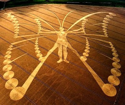 Crop Circle: storia ed evoluzione