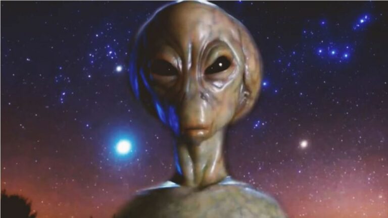 293492866_557426879255766_847391187975137895_n