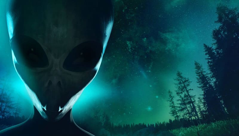 Gli alieni Grigi, secondo il professore ufologo della Pennsylvania, hanno lo stesso DNA dell'uomo